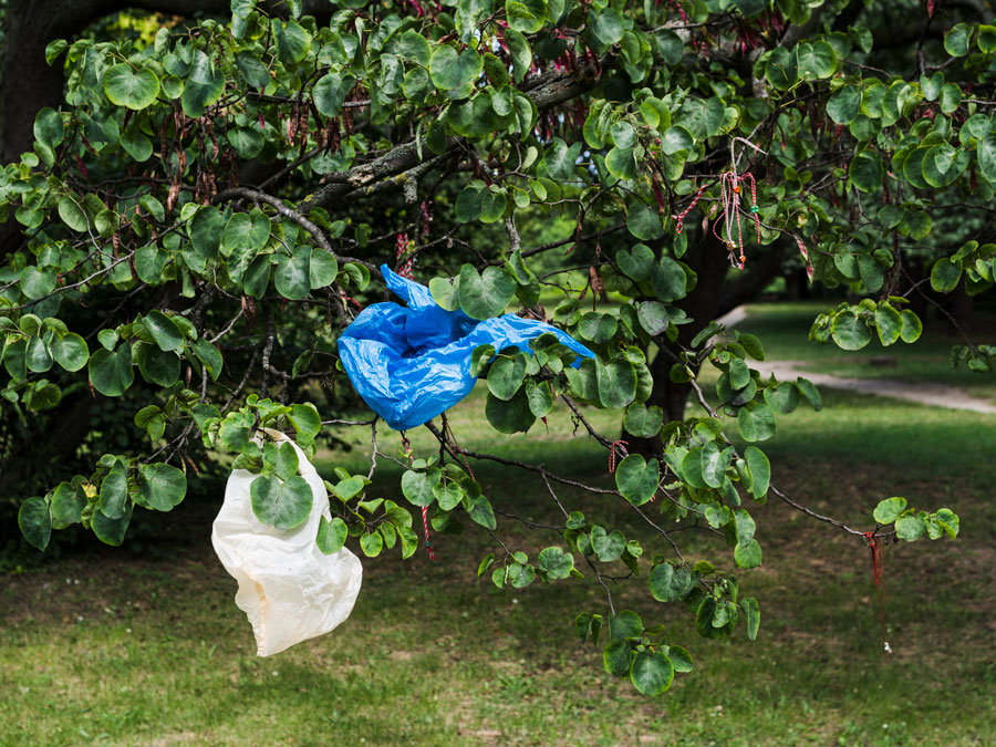 sacchetto-di-plastica-residuo-che-passa-sul-ramo-di-albero-al-parco
